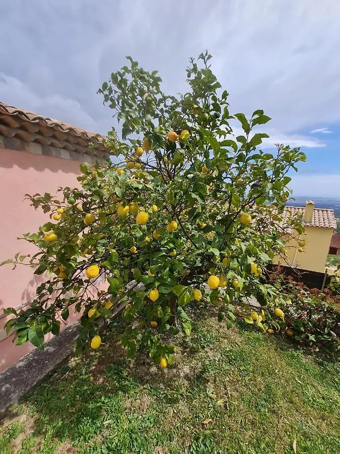 Apartament Adorable Maison Independante 30M2 Avec Piscine En Saison Cabris